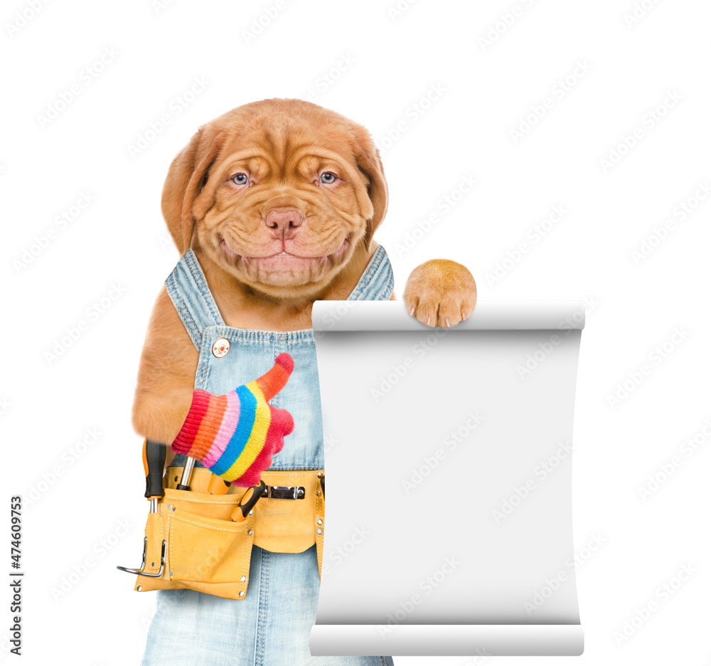 Aufkleber Funny puppy wearing overalls with tool belt shows empty list and thumbs up gesture. Isolated on white background