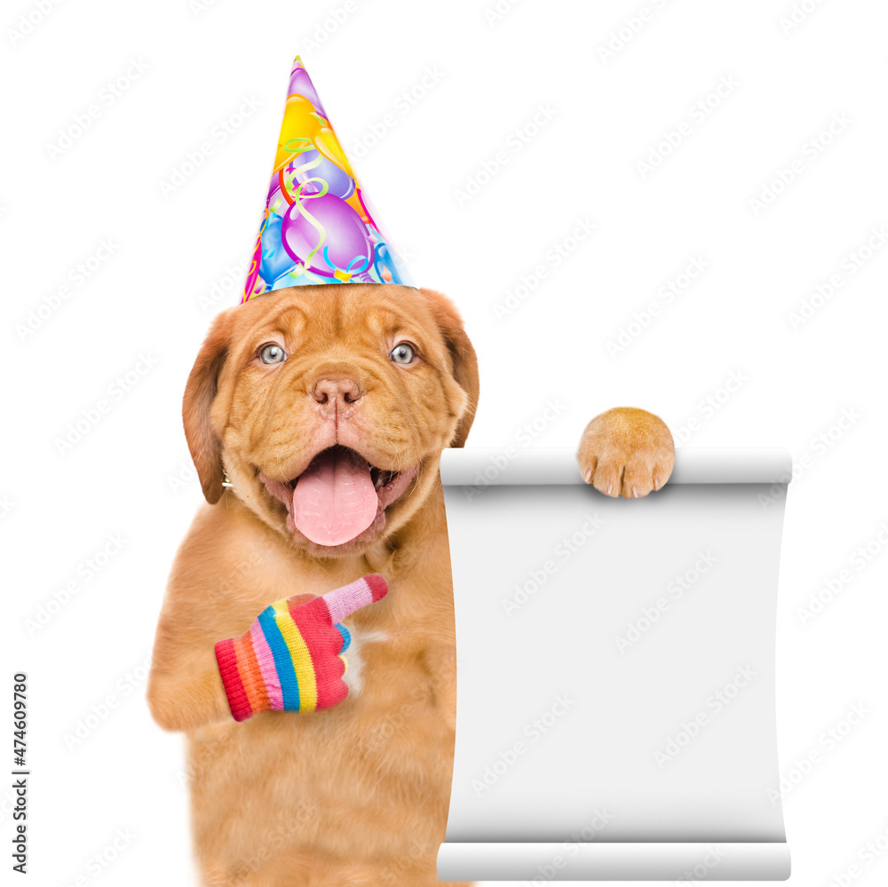Poster happy puppy wearing birthday cap points on empty list. isolated on white background