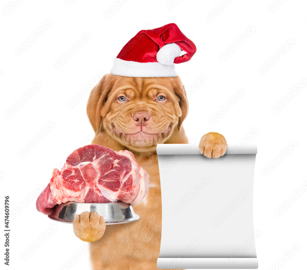 Poster puppy wering red santa hat holds bowl of raw meat and shows empty list. isolated on white background