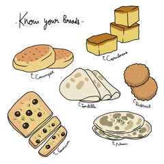 Know your breads chart vector illustration