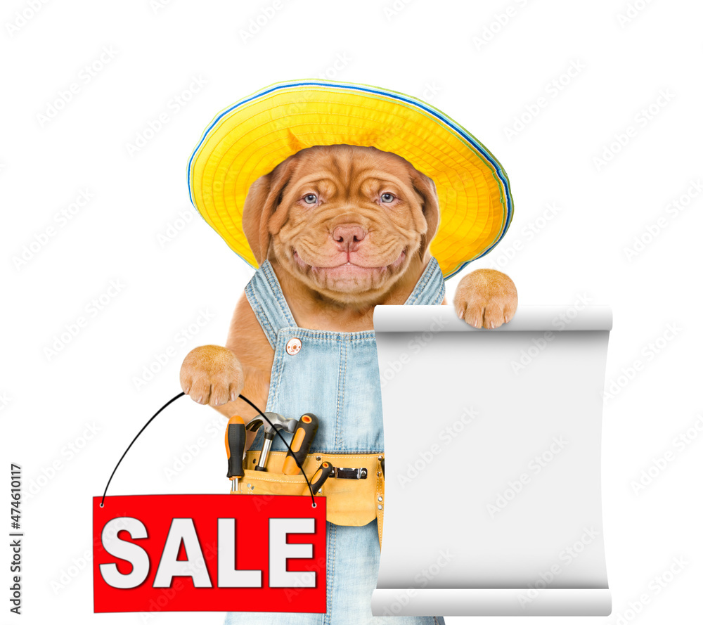 Poster funny mastiff puppy worker wearing overalls with tool belt holds sales symbol and empty list. isolat