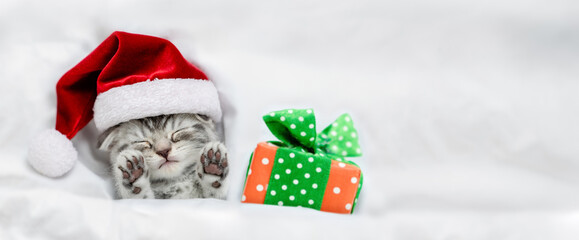 Cozy kitten wearing red santa hat sleeps with gift box under a white blanket on a bed. Top down view. Empty space for text