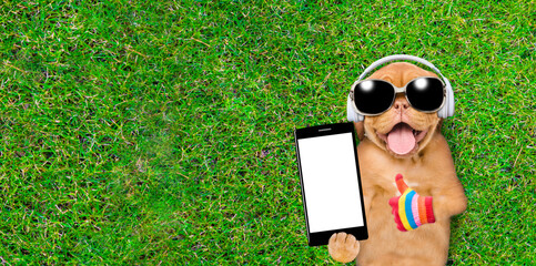 Funny puppy  wearing sunglasses lying on its back on summer green grass, listens music with...
