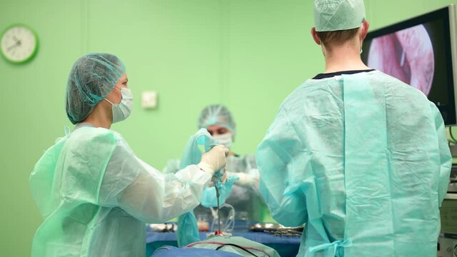 medical examination and operating on nasal septum, endoscopic treatment in surgery, otolaryngology clinic