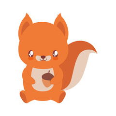Obraz premium great baby squirrel