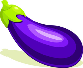 eggplant vegetable. vector illustration. healthy fresh and sweet food and fruit design.