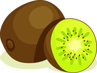 kiwi fruit. vector illustration. healthy fresh and sweet food design.