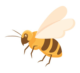 nice bee design