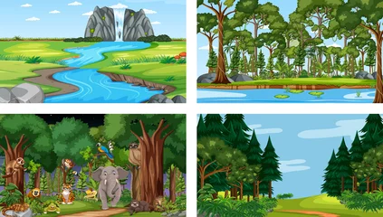 Gordijnen Set of different forest horizontal scene with various wild animals © blueringmedia