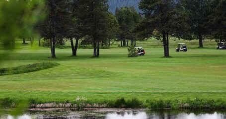 Golfers Riding On Golf Cart Behind The Trees. - wide shot