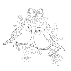 Two bullfinches with berries. Winter holiday decoration. Black and white elements. Traditional festive balls for season design. Hand drawn illustration for children and adults, tattoo.