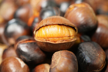 roasted chestnuts on a white background, winter