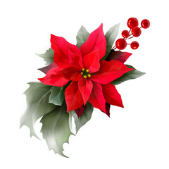 Poinsettia, holly, winter berries in Christmas bouquet. Modern Art composition flower, leaves, berries isolated on white background. Floral frames and backgrounds design. Watercolor botanical