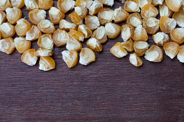 Yellow corn seeds with empty space for text for design