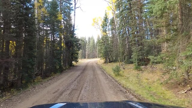 Taking left turn on forest gravel road intersection, driving POV shot