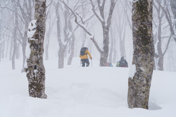 山スキー　シール登高