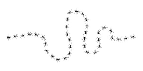 Worker ants trail line flat style design vector illustration isolated on white background. Top view of ants bug road trail marching in the line row. Pest control or insect searching concept.