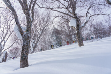 山スキー　シール登高