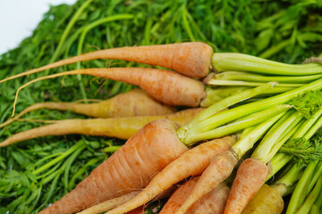 Fresh carrot on white background,raw material for cooking. Close up.