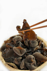 Fresh wood ear nushroom on white background,raw material for cooking. Close up.