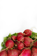 red radish on white background,raw material for cooking. Close up.