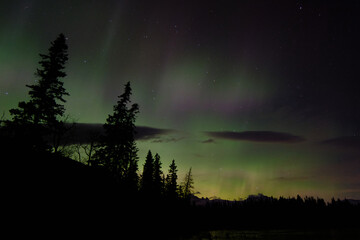 Auroras over Mountains, Alberta, Canada