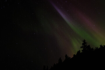 Fototapeta na wymiar Colorful Auroras, Canada - Alberta, Banff National Park