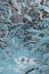 Rolgordijnen Winter forest © Galyna Andrushko