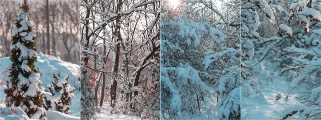 Schilderijen op glas Winter collage © Galyna Andrushko