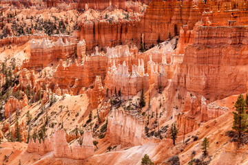Hoodoos, Bryce Canyon, Utah