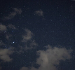Naklejka na ściany i meble starry night with crisp sky and some clouds with a lot of constellations visible and trees