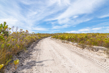 Fototapeta premium Sandy Road near Napier in the Western Cape of South Africa