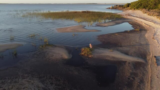 Aerial orbit shot of person at lake shore taking photos of beautiful landscape with grass and sunset