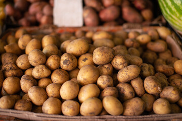 Potatoes on the counter. Farm-grown vegetables.