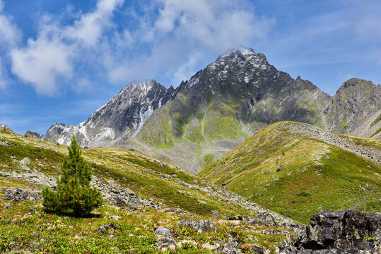 Alpine tundra in mountains of Eastern Siberia