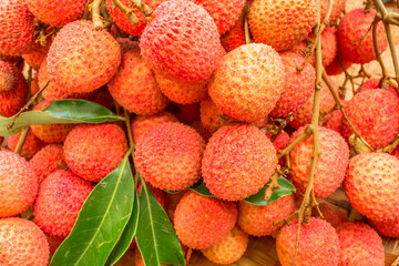 litchis 