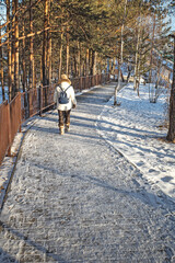 Fototapeta na wymiar A woman walks along the alley of the park on a sunny winter day