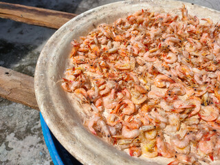Homemade dried prawns that are being dried in the sun are a drying process to be made into dried prawns to be eaten by yourself or for sale.