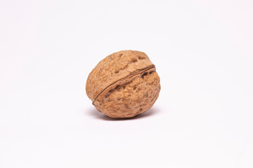 Walnut on a white background. in a shell, Organic food, nutshell
