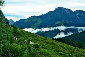 Austrian Alps - view of the mountains in the Totes Gebirge near Windischgarsten