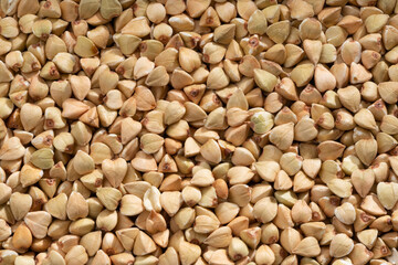 Detailed and large close up shot of buckwheat.