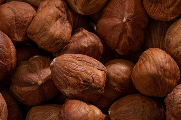 Detailed and large close up shot of hazelnut.