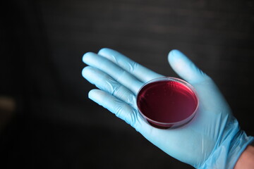 Scientist Wearing Respirator Mask, Coverall and Safety Glasses Looks at Petri Dishes with Bacteria,...