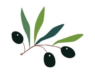 Vector olives. Color illustration. For social networks, postcards, advertising, printing.