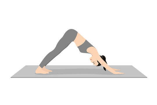 Downward Facing Dog Pose, Down Dog Pose, Beautiful girl practice Adho mukha svanasana, Young attractive woman practicing yoga exercise. working out, black wearing sportswear, grey pants and top, indoo