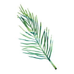 Christmas spruce twig illustration with hand drawn watercolor winter floral. Stock fir tree image