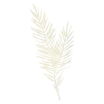 White leaf hand drawn watercolor greenery illustration. Skock image
