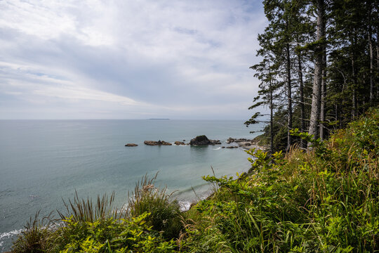 Kalaloch Beach 4