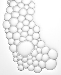 foams or bubbles or cells on the white background