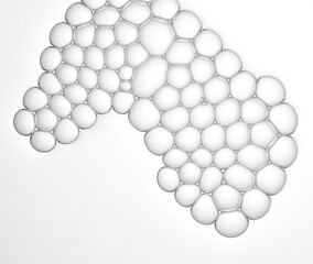 foams or bubbles or cells on the white background